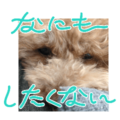 sena_20250204102103