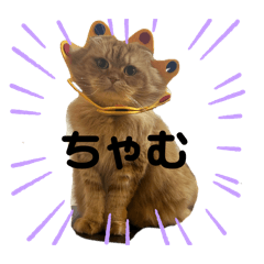 yuka_20250204143248