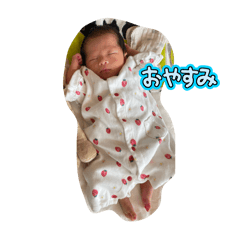 yuki_20250204111010