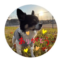 YUZU_20250204144627