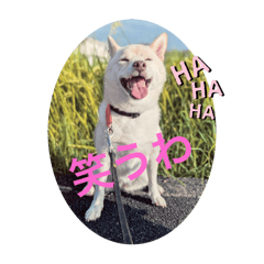 akane_20250204153405