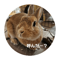 natsu_20250204154308