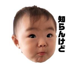 Ayaka_20250204154507
