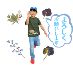 kayo_20250204153115