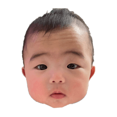 ami_20250204153249