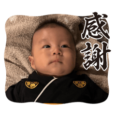 chiharu_20250204134218