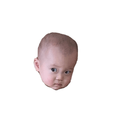 Jamie_20250204135231