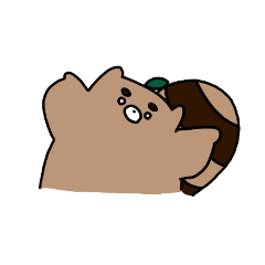 happa.raccoon