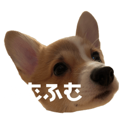 choco_20250204142036