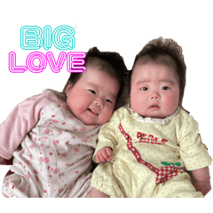 yuka_20250204151746