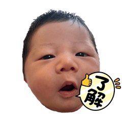 AOZORA_20250204171152