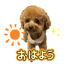 ichi_20250204151935