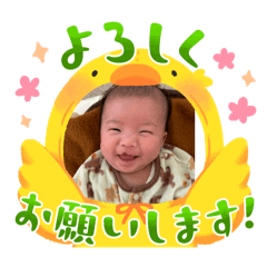 megu_20250204171527