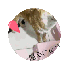 情緒穩定+3