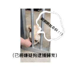 情緒有可能穩定+3