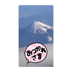 sachi_20250204163804