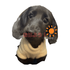 MAO_20250204175958