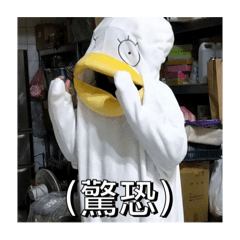 阿熊與夥伴們
