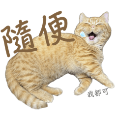 金福豬