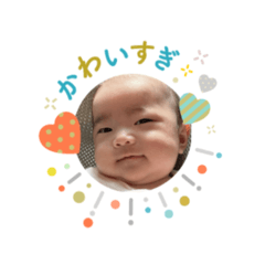 momo_20250204173626