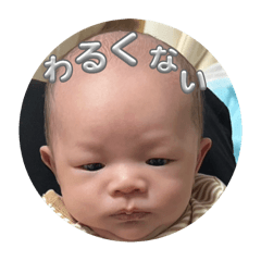 papa_20250204215128