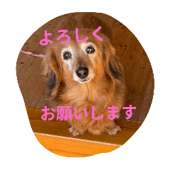 asa_20250204210001