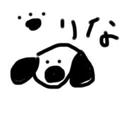 RINA_20250204230002