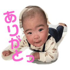ichi_20250204211946