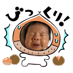 rrr_20250204232514