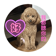 調皮貴賓嘎逼