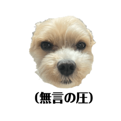 Ken_20250204172125