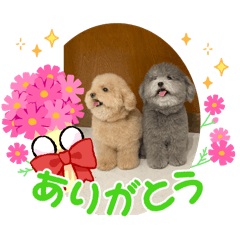 taka_20250204181007
