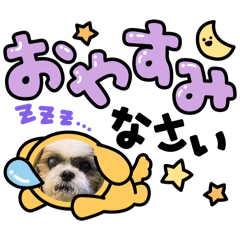 Mako_20250204191009