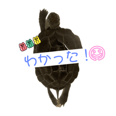 ai_20250204192454