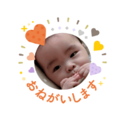 yuri_20250204192006
