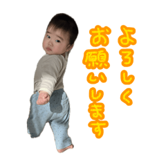 eribo_20250204192411