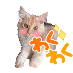 nagi_20250204210554