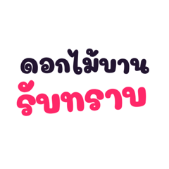 Kim_20250204204156