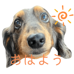 airi_20250205012313