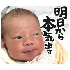 Aya_20250205093952
