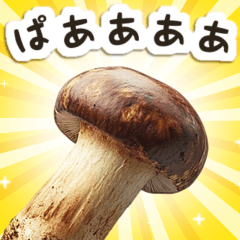 Mushroom/Greetings/Celebration/Birthday