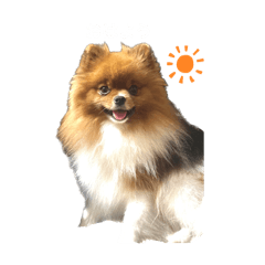 mo_20250204213544