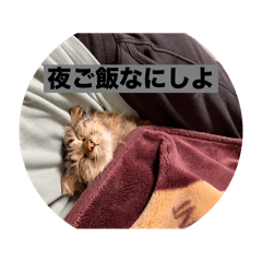kuu_20250205002616