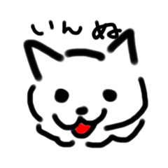 aoi_20250205010030