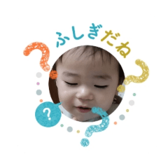 Pon_20250205004532