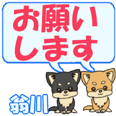 Oginakawa's letters Chihuahua2