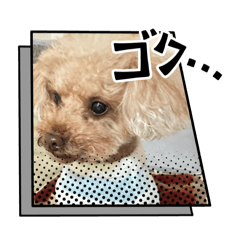 Ayane_20250204224138