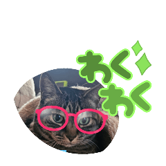 kuro_20250204232113
