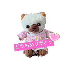 mii_20250203141128