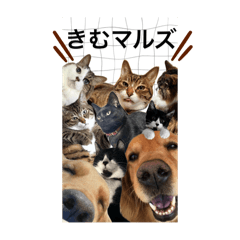 kim_20250205122337